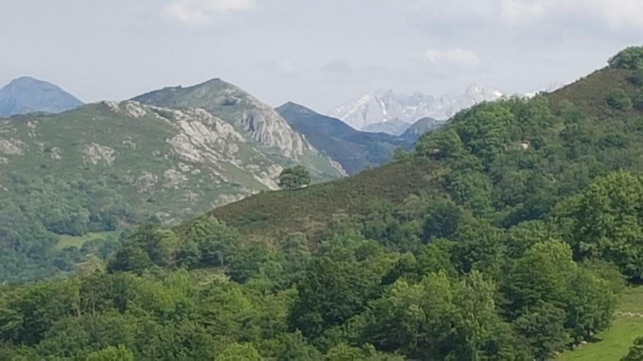Apartamentos La Guertina Cangas de Onis Bagian luar foto